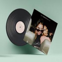Capa Personalizada para Disco de Vinil | LP 12